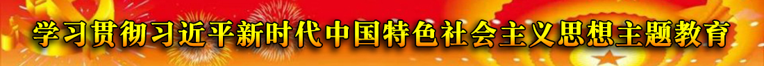 學習貫徹習近平思想主題教育.jpg